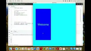Python Tkinter (part 1a): Windows and Widgets