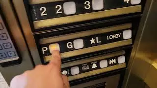 4K 1995 Dover Impulse Hydraulic Elevators | Emerald Building | Kirkland WA