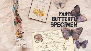 Magical 🦋 Fairy Butterfly 🦋 specimen paper project (scrapbooking papercraft)