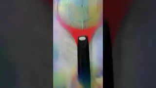 казнь мухи