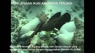 Blast fishing (Dynamite fishing) In Indonesia