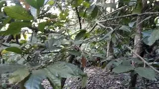 Vendo Lote 500 mts 50 Millones Vista Embalse Bucaramanga