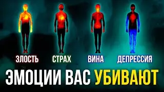 Это САМЫЕ ОПАСНЫЕ ЭМОЦИИ! Как контролировать?
