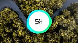 Sk-Hall & Ludwiig - New Beginning - Hidden Beats