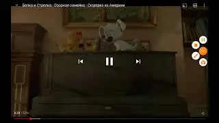 белка и стрелка озорная семейка сюрприз из Америки