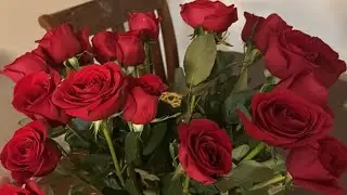 ПОЛОМАЛАСЬ МАШИНКА, ЦІЛИЙ ДЕНЬ В СПРАВАХ