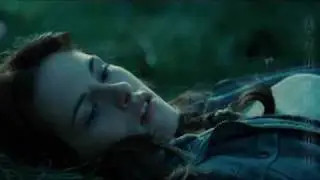 The Meadow