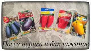 Посев перцев и баклажанов на рассаду. Сезон 2023.