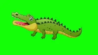 Alligator 🐊 green screen cartoon character