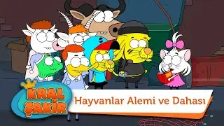 Hayvanlar Alemi ve Dahası - Kral Şakir