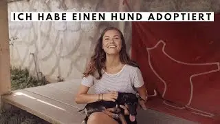 Ich habe einen Hund adoptiert! | Q&A
