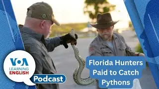 Botswana diamond, Python hunt in Florida, Conditionals, Smoky Mountains