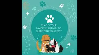 Favorite Activity Interactive Pet Parent