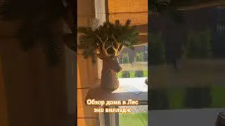 Обзор барнхауса Сибирь в лесэковилоадж #александров #шаблыкино #лесэковилладж #барнхауссибирь