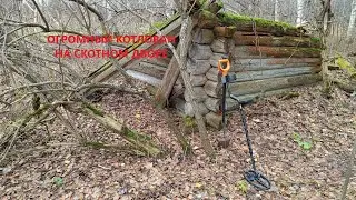 КОП НА СКОТНОМ ДВОРЕ ОТ РАССВЕТА ДО ЗАКАТА | ТХ850 НАХОДИТ ДАЖЕ НА ВЫБИТЫХ МЕСТАХ
