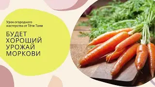 882. Сеем быстро. Всходит дружно. Хранится всю зиму.