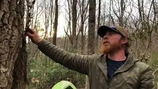 Appalachian Trail 2018 week 3 and 4. Gear repair and gear replacement. And how to hang your bear bag
