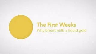 The First Weeks: Why Breast Milk is Liquid Gold