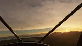 Microsoft Flight Simulator Geese