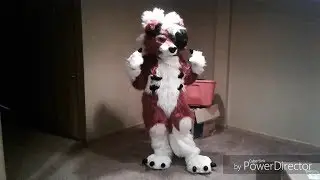 Lycanroc Suit Up