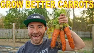 How To Grow The BIGGEST, SWEETEST CARROTS Of Your Life!
