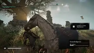 Assassin's Creed Valhalla; Grantebridgescire; Cursed Tree(Cursed Symbol Destroyed)