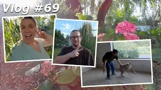 Vlog #69 - Noch größere Zucchini, Beet bepflanzen & Update Gelabere | The Smithfields