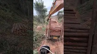 Driving and loading logs in the mountains requires skills in every aspect