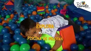 Ven a la piscina de pelotas de la Jungla Manía - Centro Comercial Palmetto Plaza