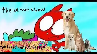 The Tenor Show  2 Cats and 2 Dogs