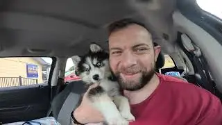 Full time reseller and full time dog dad