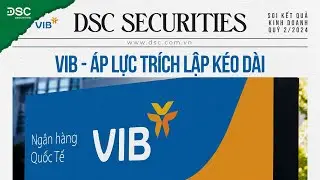 VIB - ÁP LỰC TRÍCH LẬP KÉO DÀI | SOI KQKD Q2/2024