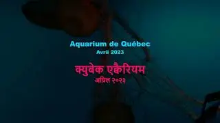 Quebec City's Aquarium 04/15/2023