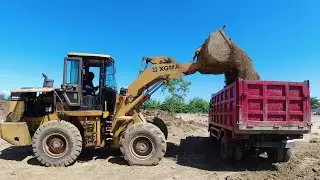 XGMA XG95H Wheel Loader Loading Mitsubishi Fuso HD-X Trucks
