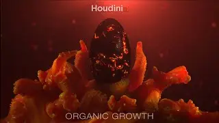 Organic Growth - 3D Animation