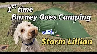 1st time Dog Camping | Storm Lilian