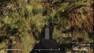 Fallout 76 | Loving Chicken |