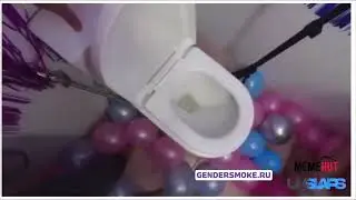 Определение пола будущего ребёнка с помощью смыва в унитазе. Гендер пати