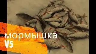 Глухозимье? - нет, не слышал! Плотва и окунь на мормышку!