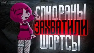 СМОТРЮ ХУДШИЕ СПИДРАНЫ В ШОРТСАХ