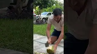 #юмор
