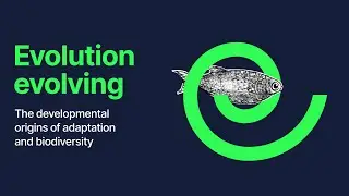 Evolution evolving: The developmental origins of adaptation and biodiversity