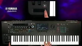 Montage M Tips | Assigning A Parameter From The Insert Effect To The Ribbon Controller