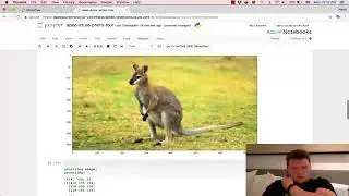 Attention of Convolutional Neural Network (VGG16)