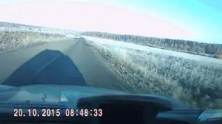 Кабанчики