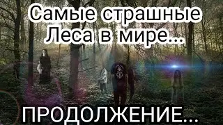 Продолжение Самых Страшных Лесов В Мире😱😱😱