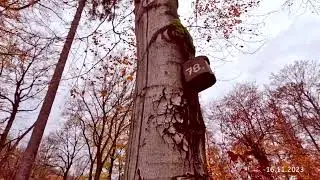 Wir suchen ein Denkmal im Wald, Wandern im Hagener Süden