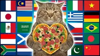 Cat in 70 Languages Meme