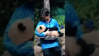 ✅Dimash & panda 🥰 Димаш и Панда - мимимишное видео 
