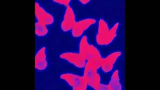 (free) STEVE LACY + TAME IMPALA TYPE BEAT - 